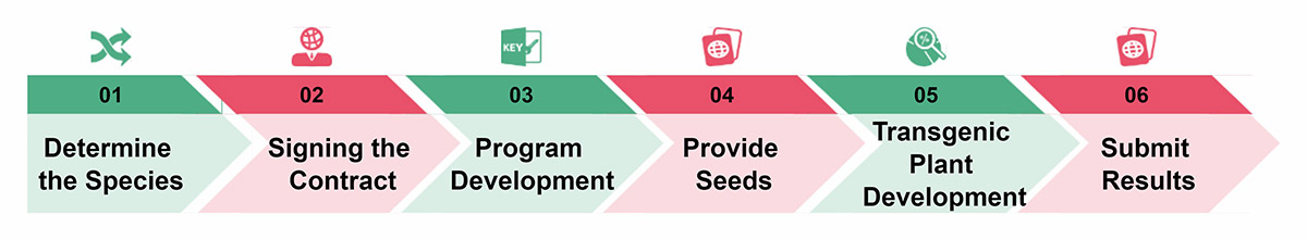 Flowchart for Ordering Service