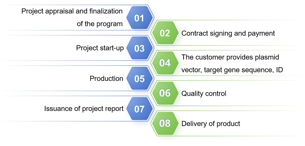 Viral vector building service flow - Lifeasible