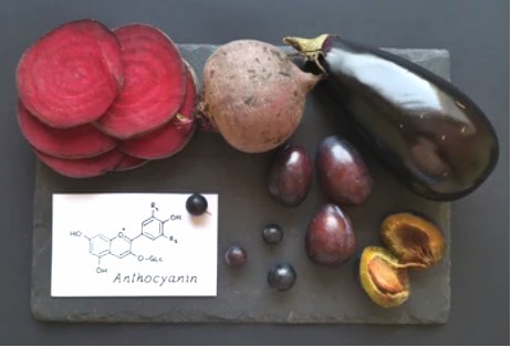 Targeted Metabolomics of Anthocyanidins