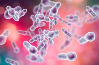 Analysis of Bacterial Spores