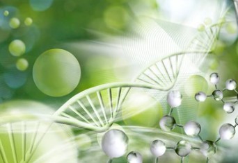 Genetic engineering of microalgae.