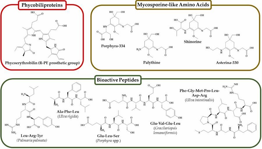 Identification and characterization of marine seaweeds for biocompounds production.