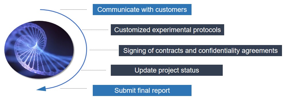 Fig. 2. Our service workflow - Lifeasible