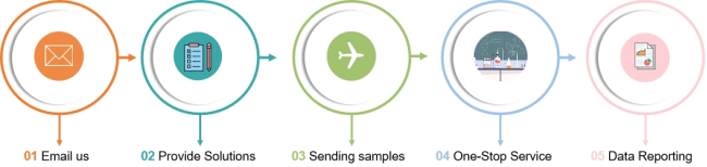 Figure 2. Flow chart of exosome imaging services.