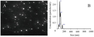 Figure 3. Exosome size distribution. (X. Wu et al., 2019)