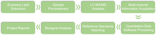 Technical flow chart of exosome lipidomics services provided by Lifeasible.