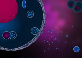 Figure 1: Exosome polyomics.