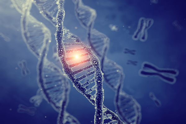 Gene Copy Number Analysis