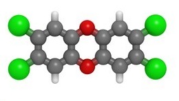 Biodegradation of Waste