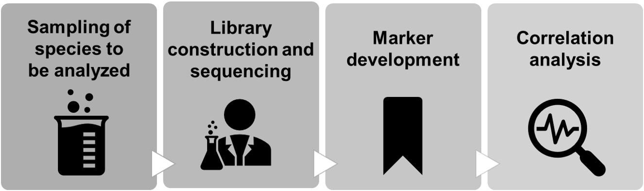 Bulk Segregant Analysis (BSA) Service