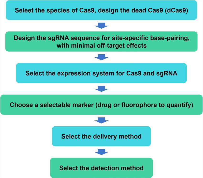 CRISPR Activation (CRISPRa) Service