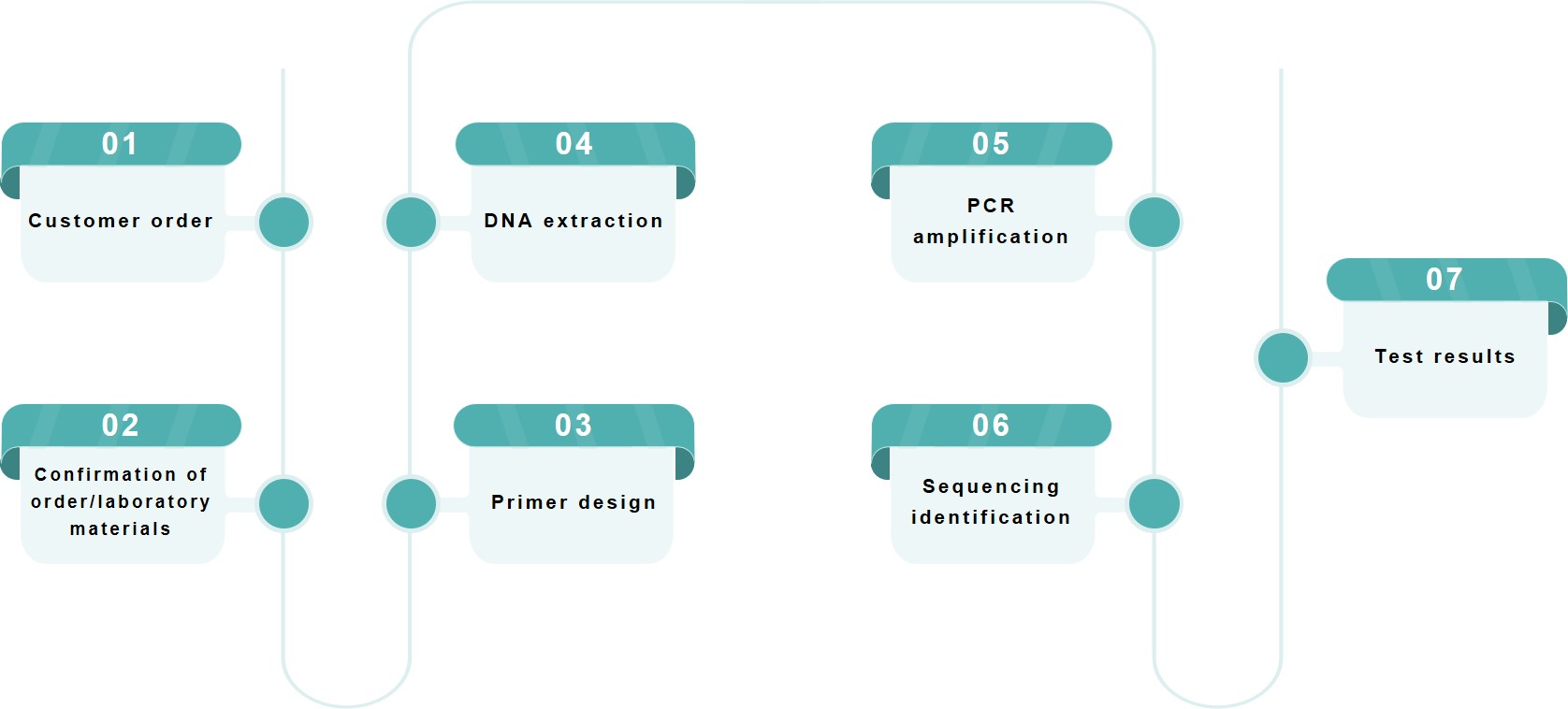 DNA walking PCR service flow - Lifeasible