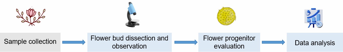 Fig.2 Our service workflow.