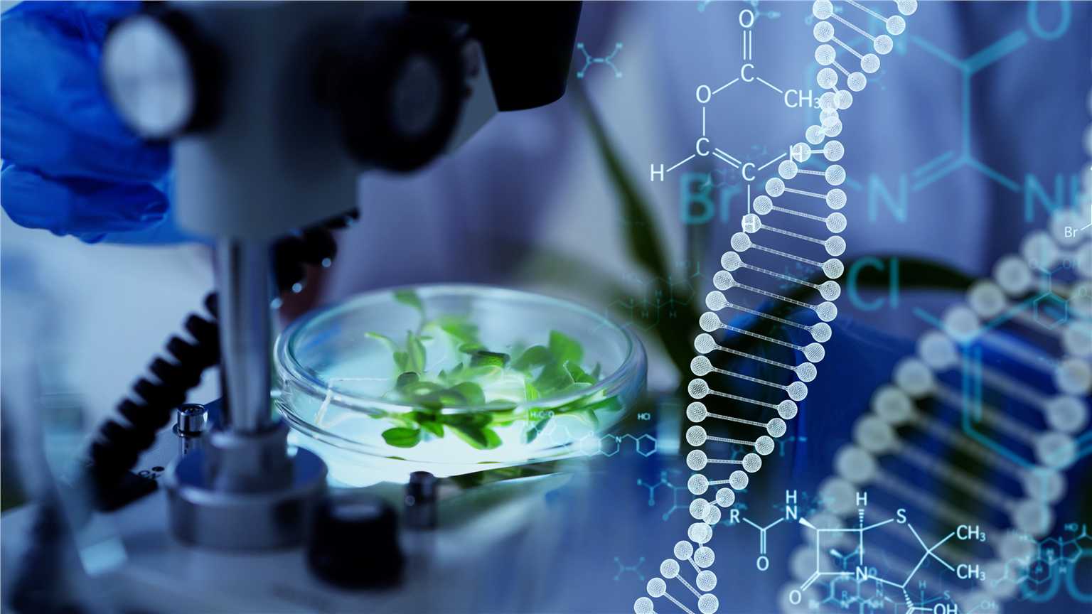 Fungal Metabolomics Analysis