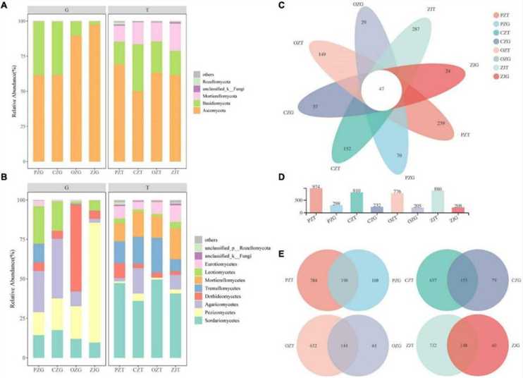 Figure 1. Schematic diagram of the results of fungal community analysis.