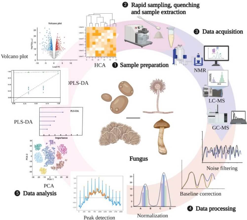 General technical route of metabolomics.