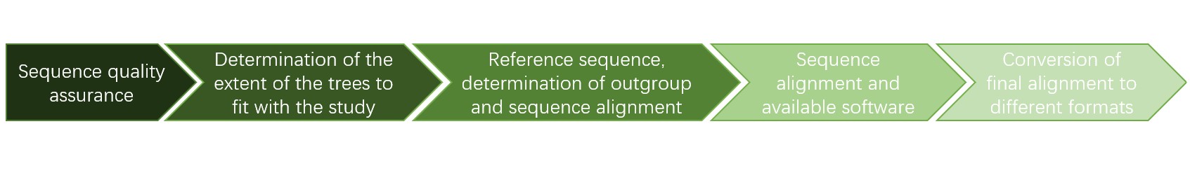 Figure 2. The workflow of fungal phylogenetic analysis.