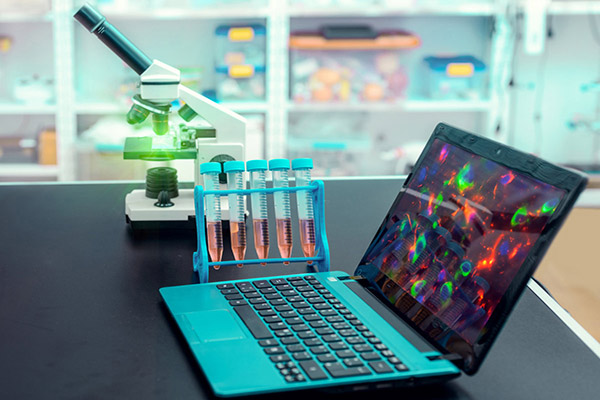 Gene Function Analysis