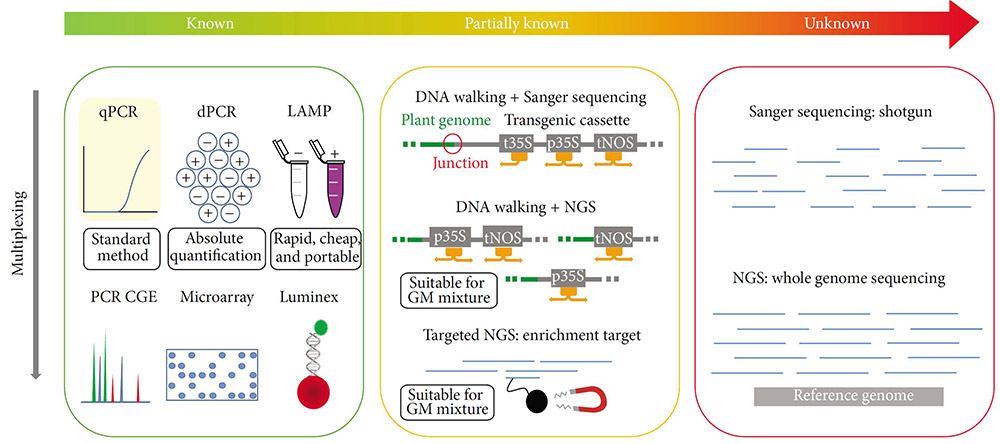 Figure 2. The techniques  used for GMOs testing (Fraiture et al., 2015).