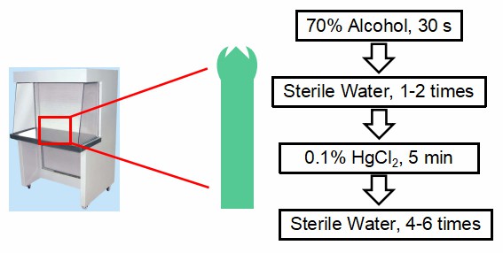 The procedures of material selection and sterilization (2)