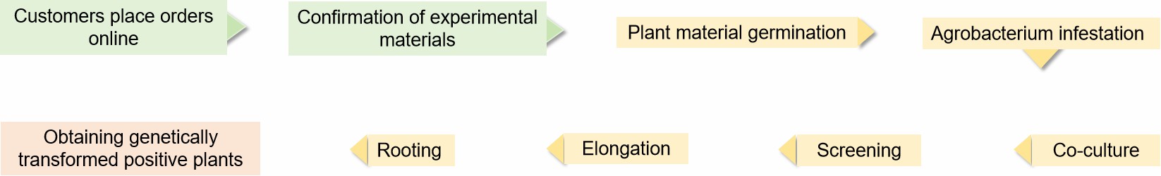 Fig. 2. Our service workflow - Lifeasible