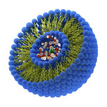 Liposome Encapsulation Rate Determination