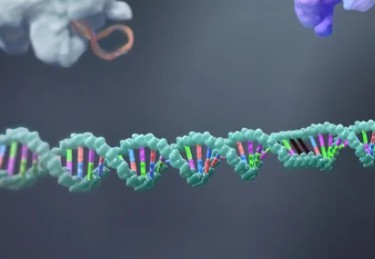 Microalgal Transcriptomics