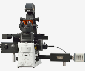 STORM (Stochastic Optical Reconstruction Microscope)