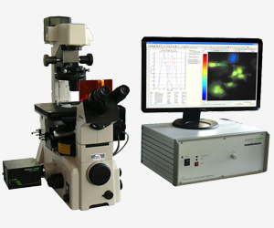 FILM (Fluorescence Lifetime Imaging Microscope)