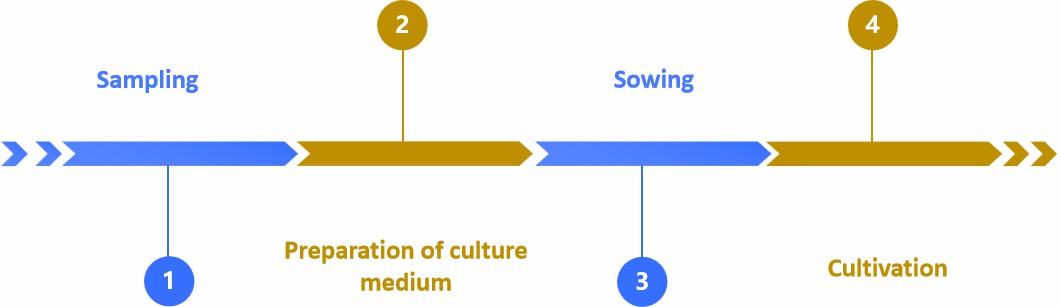 Fig.2 Our service workflow of seed germination determination.