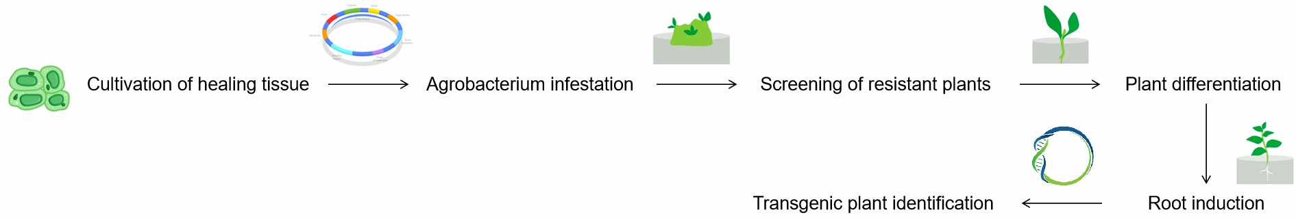 Fig. 2. Our service process.