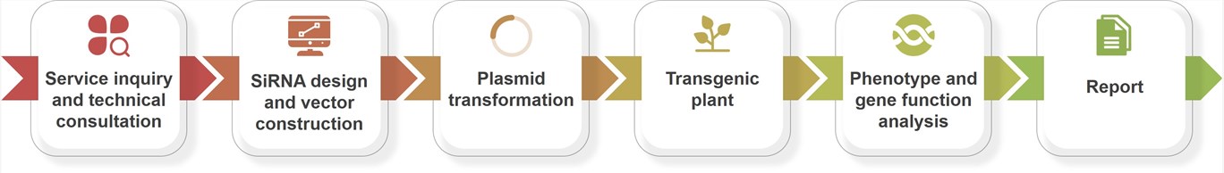 RNAi Service Workflow