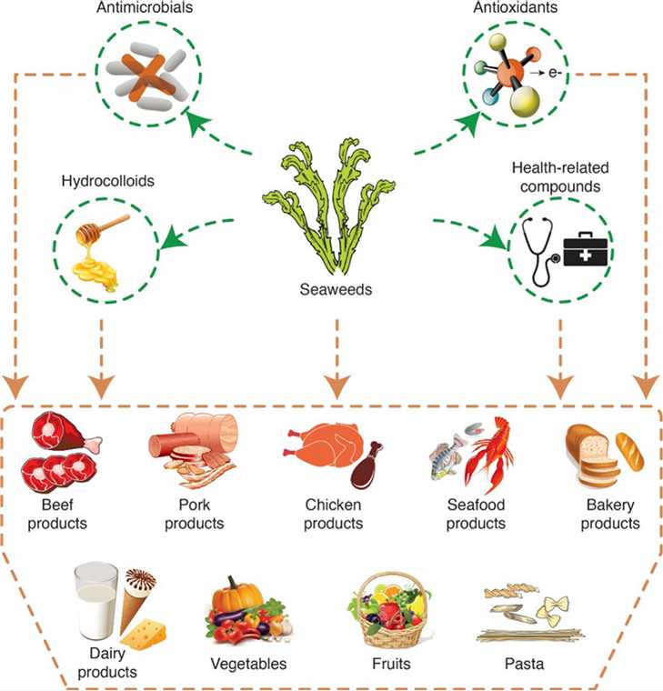 Application of seaweeds to develop new food products with enhanced shelf-life, quality and health-related beneficial properties.