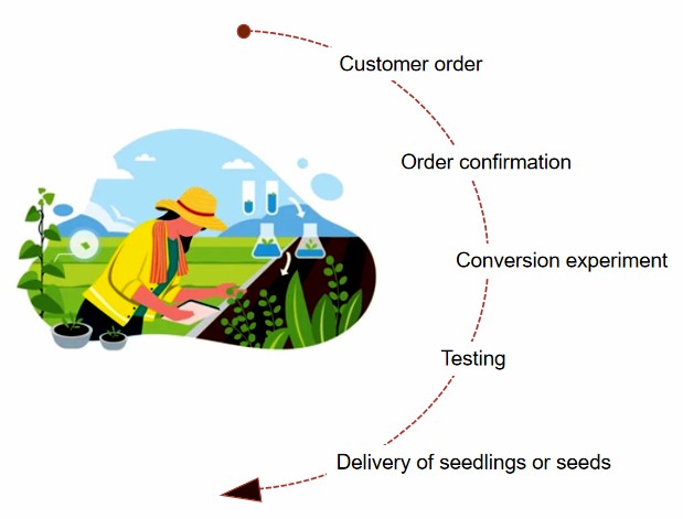 Fig. 2. Our service workflow - Lifeasible