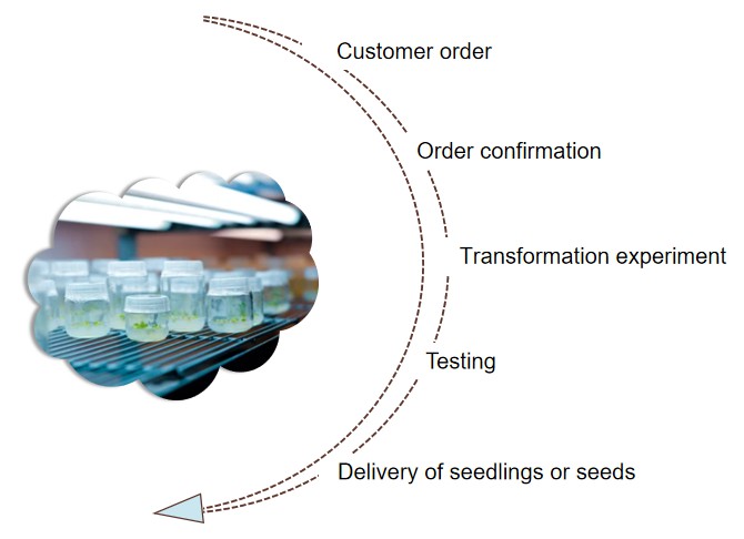 Fig. 2. Our service workflow - Lifeasible