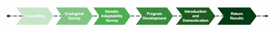 Service Flow Chart of Tree Introduction and Domestication Service - Lifeasible.