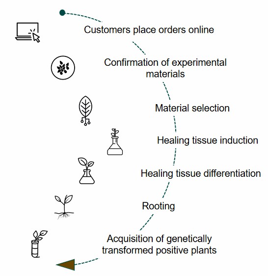 Fig. 2. Our service workflow - Lifeasible