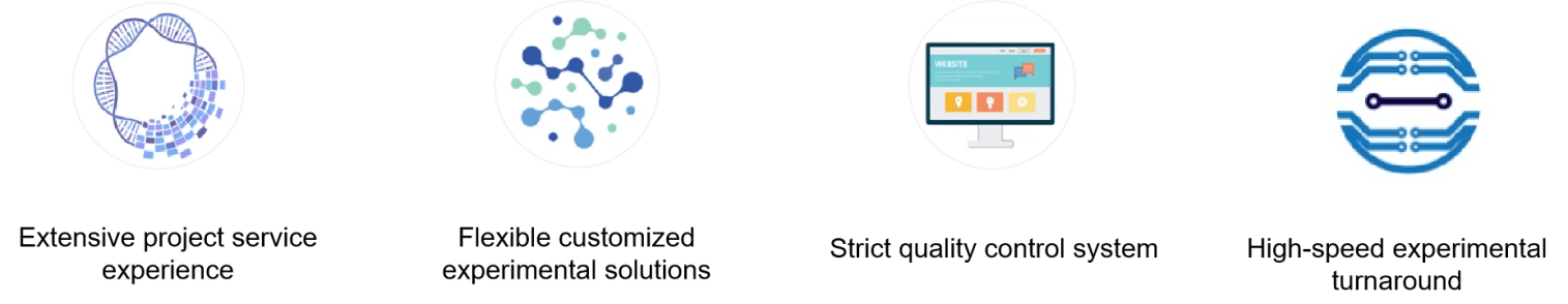 Fig. 2. Our advantages and features - Lifeasible