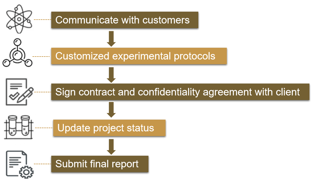 Fig. 2. Our service process - Lifeasible