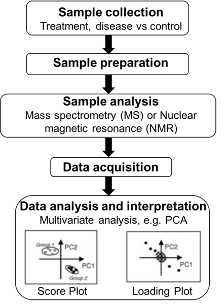 Figure 1. The workflow of a metabolomics study.