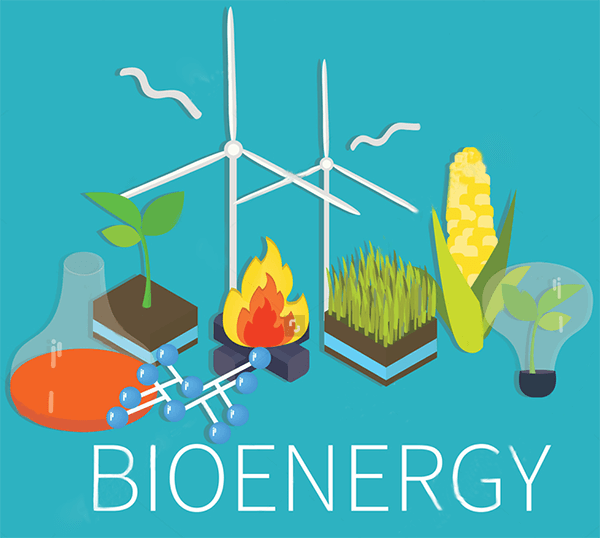 Bioenergy