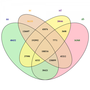 Bulk Segregant Analysis (BSA) Service