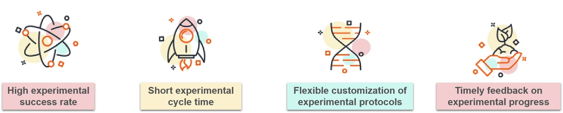 Fig. 2. Our service advantages - Lifeasible