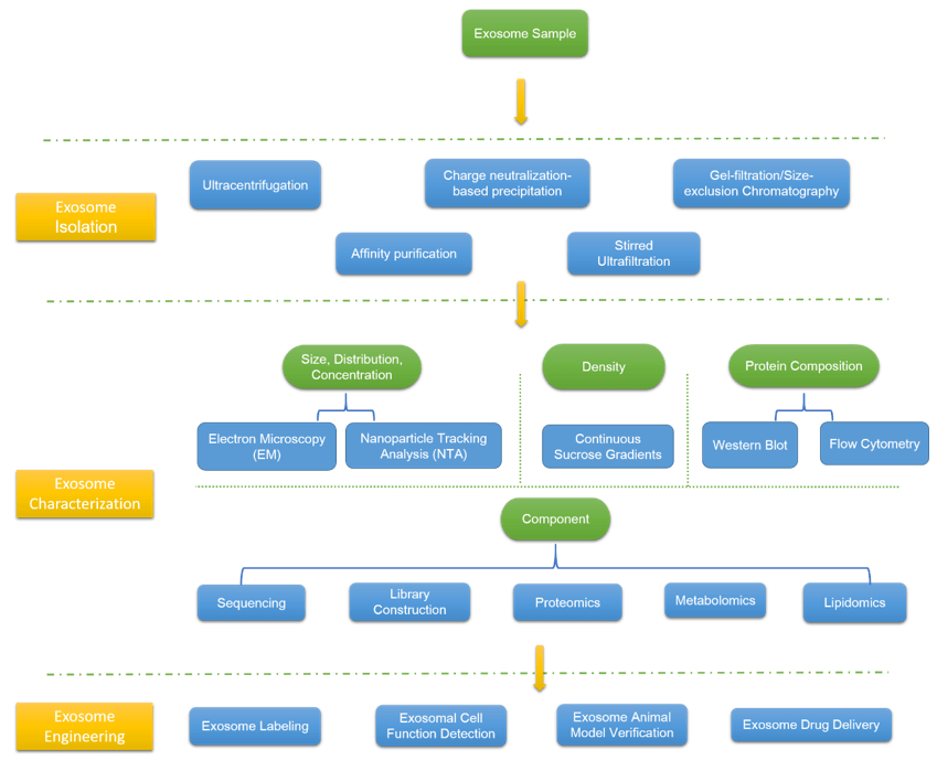 Exosomes Platform